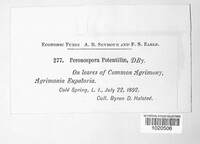 Image Associated With the Occurence